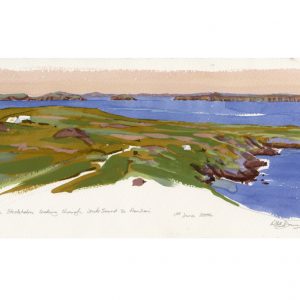 view from skokholm