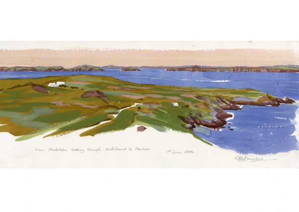 view from skokholm