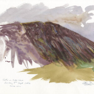 watercolour painting of heather on Cader Idris by RAG Davies