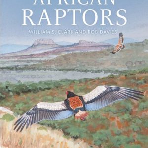 African Raptors Fieldguide cover