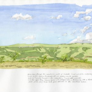 Thickets on Craddock hillside