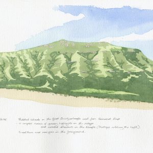 Thickets on Somerset East hillside