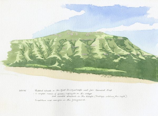 Thickets on Somerset East hillside