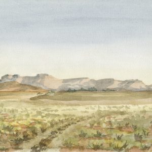 Biesjiesfontein, Hutchinson and the Horseshoe Mountains