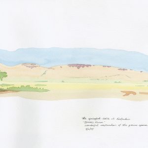 Springbok Vlakte at Rolfontein