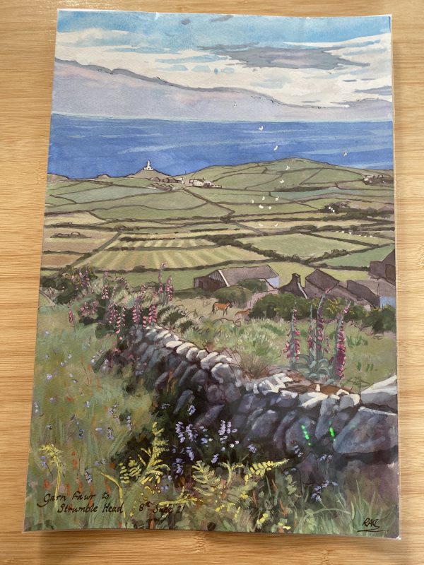 Garn Fawr to Strumble Head