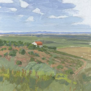 From Sierra de San Pedro, near Aliseda