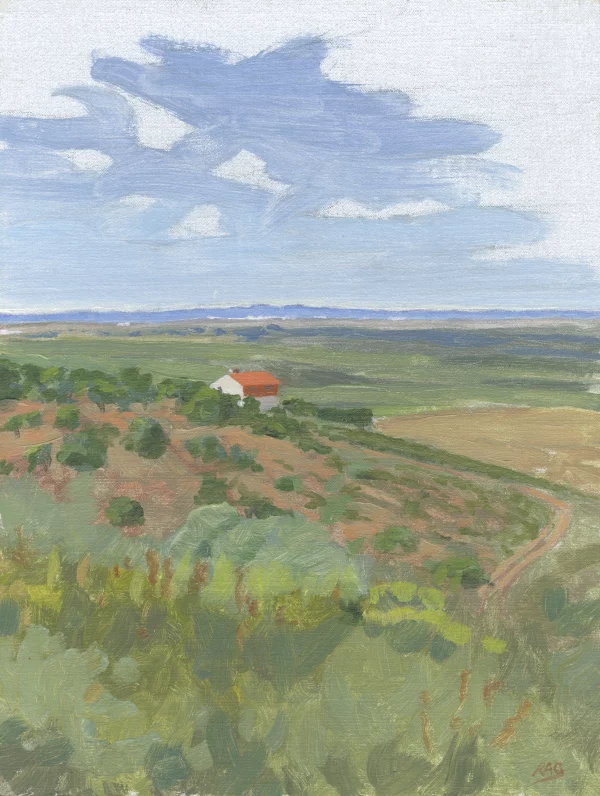From Sierra de San Pedro, near Aliseda