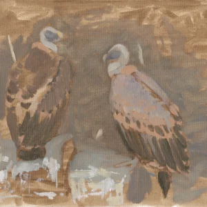 Griffon pair