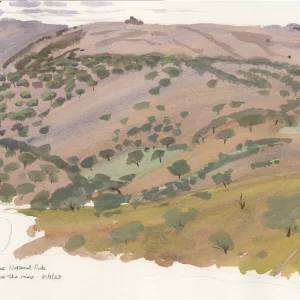 Monfrague National Park, after the rains