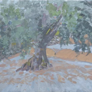 Olive Tree