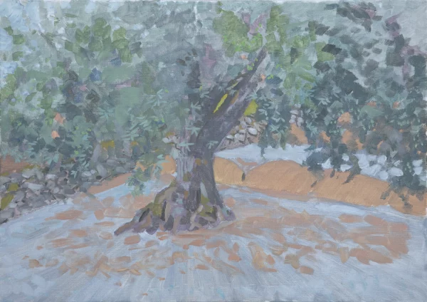 Olive Tree