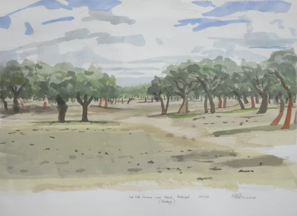 Cork Oak Savanna near Portel