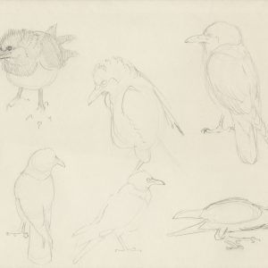 Cuthy outlines