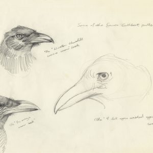 Cuthbert faces