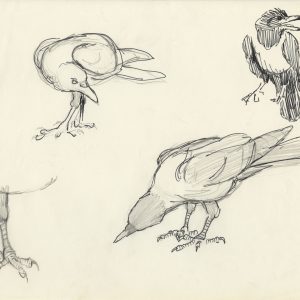 loose sketches of cuthbert