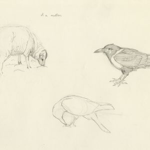 mutton & Cuthbert sketches