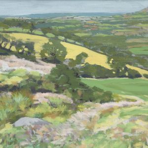 view to Brynberian from Waun Mawn standing stones on the Preseli mountains