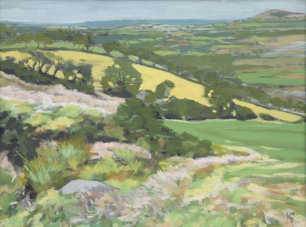 view to Brynberian from Waun Mawn standing stones on the Preseli mountains