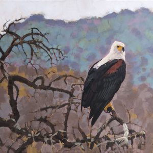 Fish Eagle, Ruaha National Park (print)