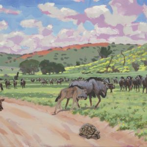 Green Kalahari