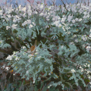 oil painting of blackthorn blossom with lichens and Whitethroat by Rob Davie