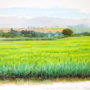 Watercolour and Gouache original painting of Blue Barley and SkyFog by RAG Davies