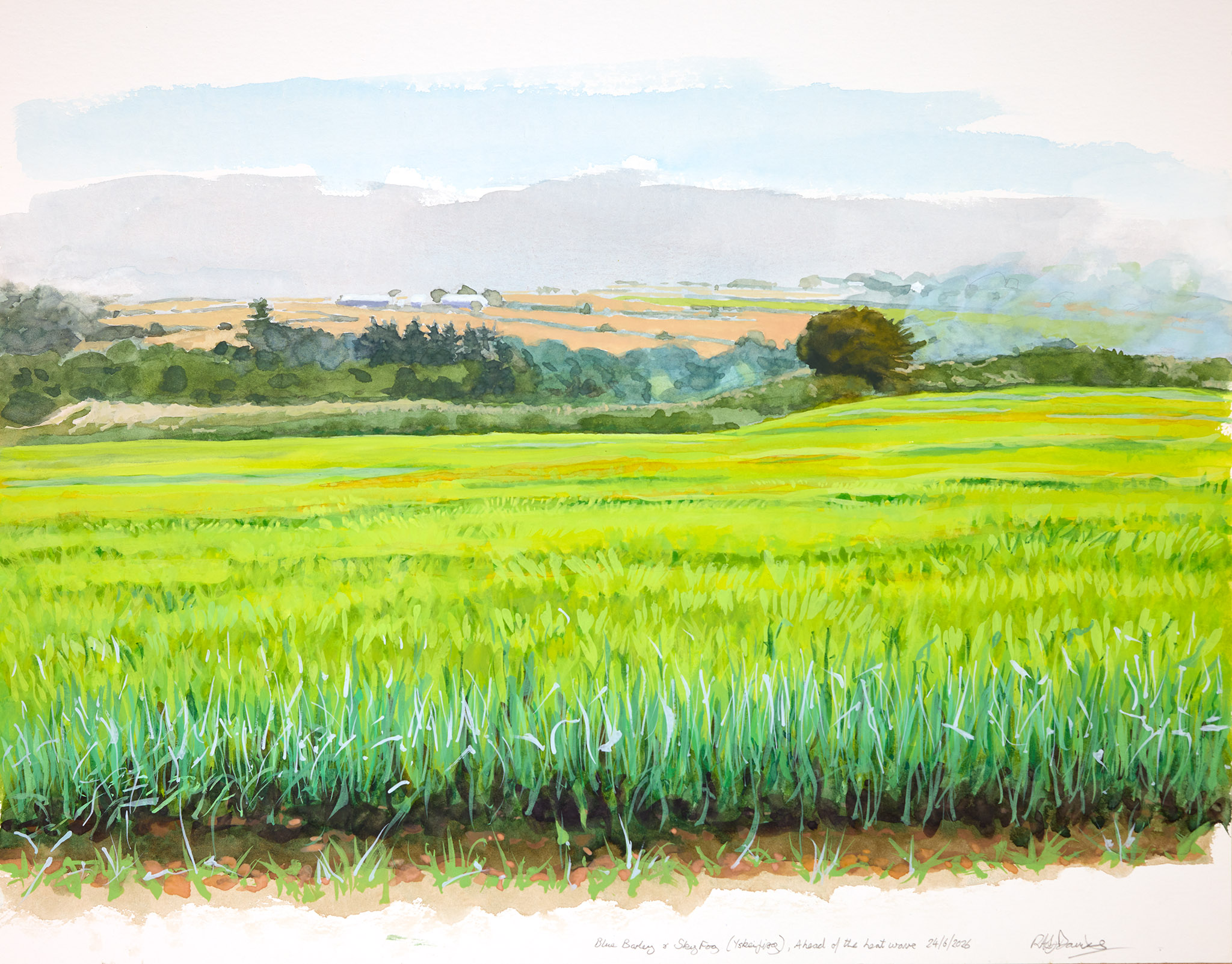 Watercolour and Gouache original painting of Blue Barley and SkyFog by RAG Davies
