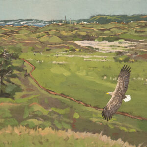 oil painting of White-tailed Sea Eagle on a Kenfig Dune Slack by RAG Davies