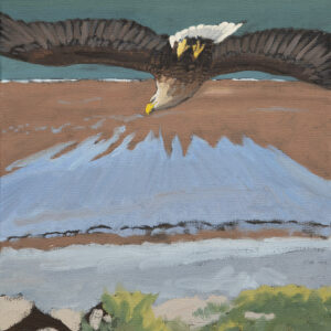 oil painting of White-tailed Sea Eagle at Swansea Bay by RAG Davie