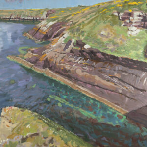 oil painting of Caerbwdi near St Davids by RAG Davies
