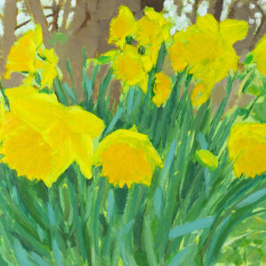 oil painting of daffodils at Llanunwas by RAG Davies