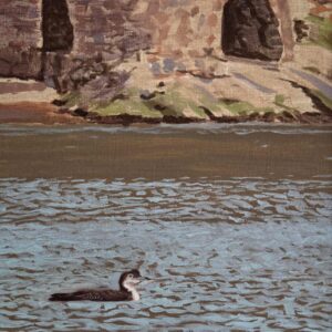 oil painting Great Northern Diver by RAG Davies