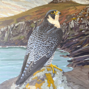 oil painting of Peregrine Falcon by RAG Davies