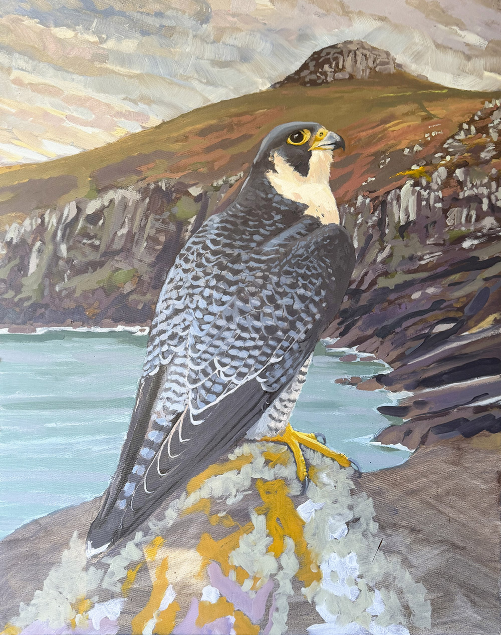 oil painting of Peregrine Falcon by RAG Davies